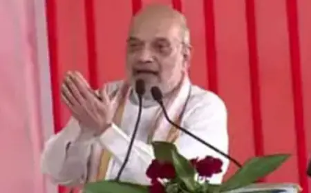 मेरा युवा भारत' मंच को मंजूरी मिलने पर अमित शाह ने की पीएम मोदी की सराहना