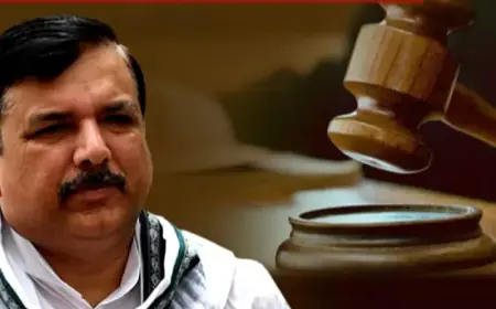 आप सांसद संजय सिंह पहुंचे हाईकोर्ट, ED को दी चुनौती होगा एक्सन