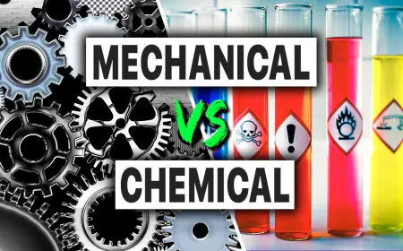 Which is better for you chemical or mechanical engineering in 2024?