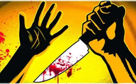 झगड़ा और पत्नी ने सोते हुए पति का चाकू से रेत दिया गला