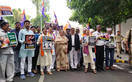 अपना दल कमेरावादी का जिला मुख्यालय पर जोरदार धरना प्रदर्शन