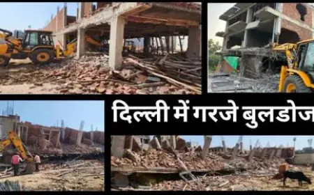 दिल्ली में अवैध निर्माण पर बड़ी कार्रवाई, 301 इमारतों पर चला बुलडोजर