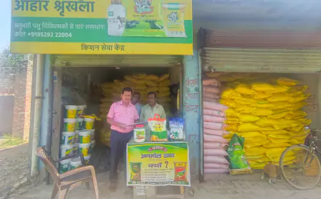 3 खाद विक्रेताओं के लाइसेंस निलंबित: कंपोजित स्कूलों में घटिया पढ़ाई हो गई उजागर