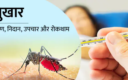 डेंगू बुखार (Dengue Fever) के खिलाफ जंग, पहली बार बनी दवा, सफल रहा ह्यूमन ट्रायल