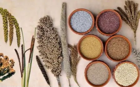 सीएसआईआर - एनआईएससीपीआर और केएएमपी: मोटे अनाज पर ज्ञान साझा करने पर सत्र