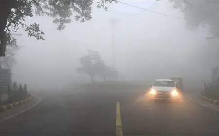 Aaj ka Mausam kaisa Hai:  ठंड बढ़ी, गर्म कपड़े उतारें, नवंबर के पहले हफ्ते से सर्दी शुरू