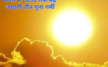 Heat Wave: भट्टी में बदल जाएंगे भारत के शहर! आपके बच्चों को  झेलना पड़ेगा