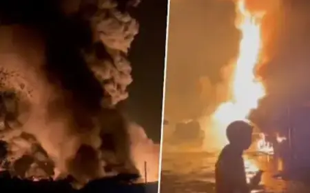 Massive Fire in Chemical Factory :  गुजरात के अरावली जिले में केमिकल फैक्ट्री में लगी भीषण आग