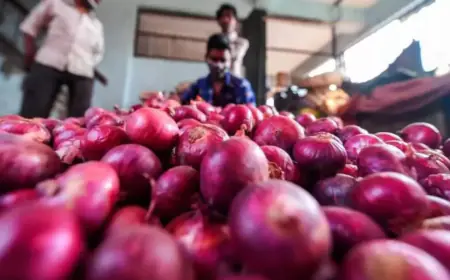 Onion Price Hike: दिवाली में  हो जाएगा लोगों  का दिवालिया, बढ़ने लगे प्याज के दाम, 10 दिन में 50% महंगा