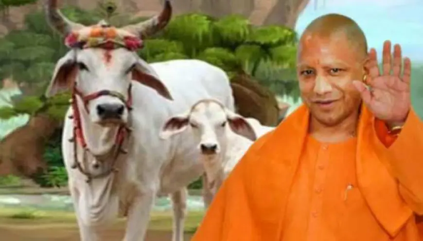 Mukhyamantri Pragatisheel Protsaahan Yojana: यूपी में देसी गाय पालने वालों को योगी सरकार देगी पैसा