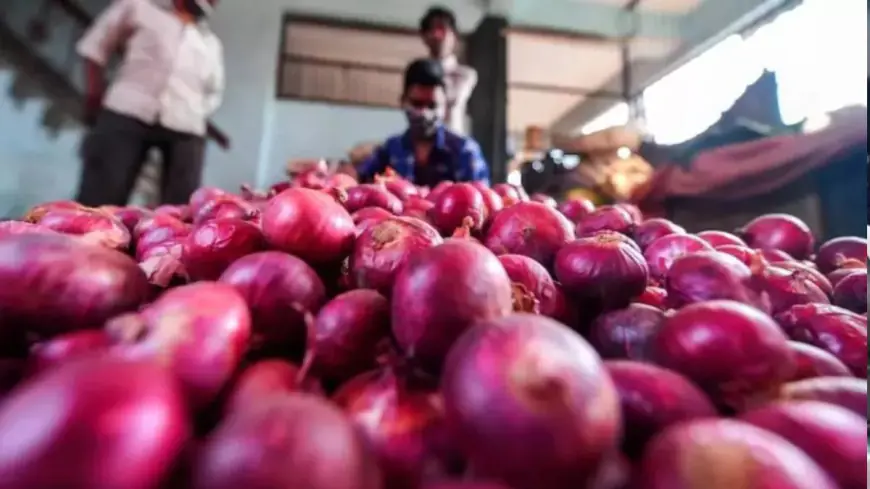 Onion Price Hike: दिवाली में  हो जाएगा लोगों  का दिवालिया, बढ़ने लगे प्याज के दाम, 10 दिन में 50% महंगा