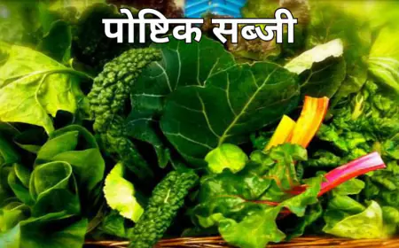 General Knowledge Trending Quiz : क्या खाने से आंखों की रोशनी तेज हो जाती है?