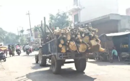 कायमगंज क्षेत्र में नहीं थम रहा अवैध लकड़ी का कटान