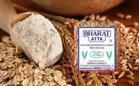 Bharat Atta Price: केंद्र सरकार बेचेगी 275 में 10KG आटा, बंद होगा फ्री राशन