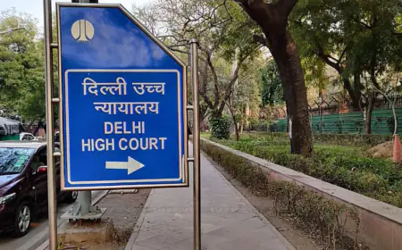 दिल्ली HC का फैसला: POCSO के तहत सामान्य छूने को यौन अपराध नहीं