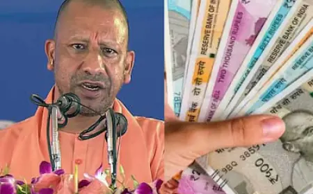 7th Pay Commission: 28 लाख कर्मचारियों को तोहफा, 46 प्रतिशत की दर से महंगाई भत्ता और 30 दिनों की बोनस की घोषणा