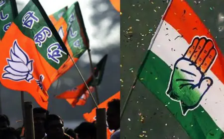 Chhattisgarh Election 2023:  BJP-Congress के लिए महत्वपूर्ण चुनौती, दिग्गजों की किस्मत का फैसला करेंगे मतदाता