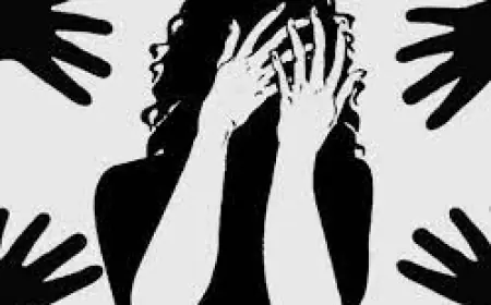 Chargesheet Filed in 12-Year-Old Girl's Rape Case in Nagpur's Besa