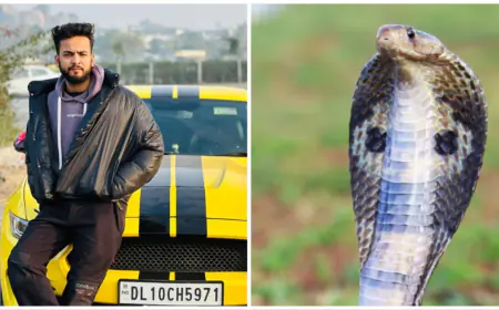 फाजिलपुरिया ने किया सांपों का अरेंजमेंट, एल्विश ने बताया कहां से मंगाता था स्नेक