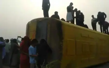 Negligent School Bus Driver Causes Chaos as Bus Overturns While Texting