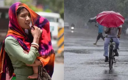 Aaj ka mausam: दिल्ली-NCR में मौसम ने ली करवट,  रात से हो रही बारिश