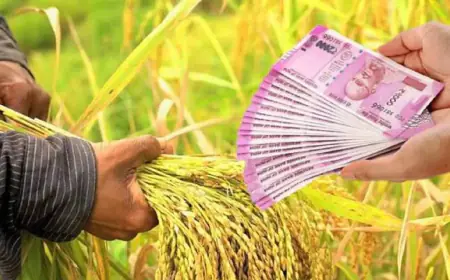 PM Kisan Samman Nidhi : PM मोदी करेंगें 15 नवम्बर को करेंगे किसान सम्मान योजना की 15 वीं क़िस्त जारी