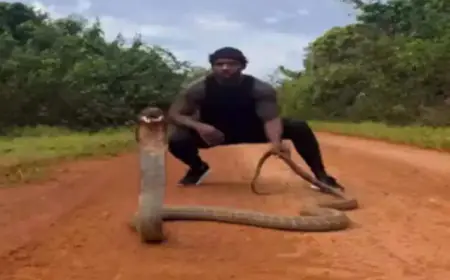 ये हैं Real Tarzan, नंगे हाथों से पकड़ लेता है खतरनाक जीवों को, जानिए इसके बारे में