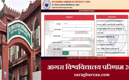 B.Sc. Result 2024: आगरा विश्वविद्यालय परिणाम 2024