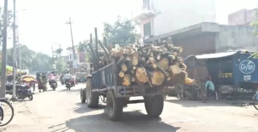 कायमगंज क्षेत्र में नहीं थम रहा अवैध लकड़ी का कटान