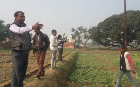 चोरी का सिलसिला जारी: -हाई टेंशन विद्युत लाइन के 6 पोलों से तार की चोरी