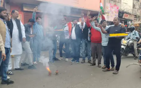 तीन राज्यों के चुनाव परिणाम घोषित होते ही भाजपाइयों ने आतिशबाजी छुड़ा किया खुशी का इजहार