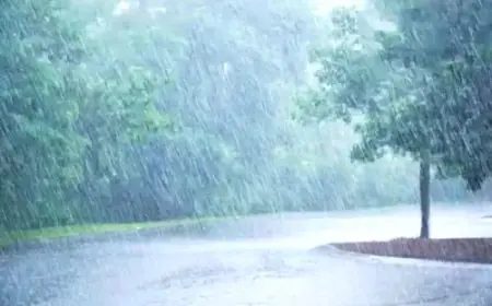 हल्की सी बूंदाबांदी के बाद मौसम ने बदला करवट बढ़ने लगी सर्दी