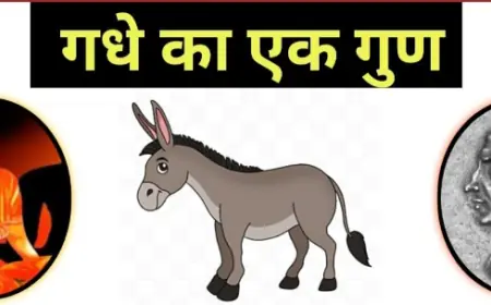 एक गूढ़ प्रश्न