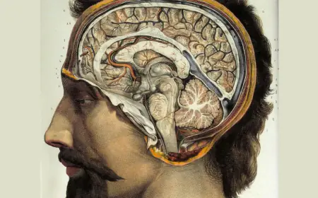 मानव की मानसिकता