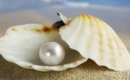 दो छोटे कीमती मोती