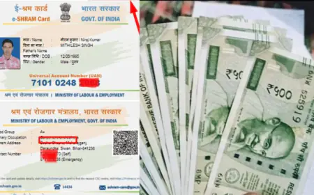 श्रम एवं रोजगार मंत्रालय भारत सरकार द्वारा ई-श्रम कार्ड धारकों की दुर्घटना में मृत्यु, दिव्यांगता की दशा में अनुग्रह राशि की घोषणा