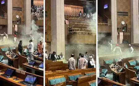 Sansad Kand: 'Special 50' खोलेगी आरोपियों  के काले चिट्ठे, जानिए कौन कर रहा है किसकी जांच?