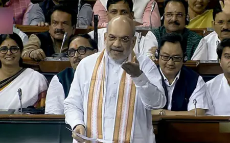Amit Shah Statement: देश के खिलाफ बोलने पर जेल की सजा का प्रावधान,  मॉब लिंचिंग पर फांसी की सजा