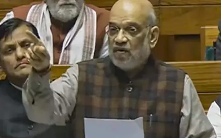 Criminal law bill :  हिट एंड रन पर 10 साल, भड़काऊ भाषण पर 5 साल की सजा... जाने - नए क्रिमिनल लॉ बिल