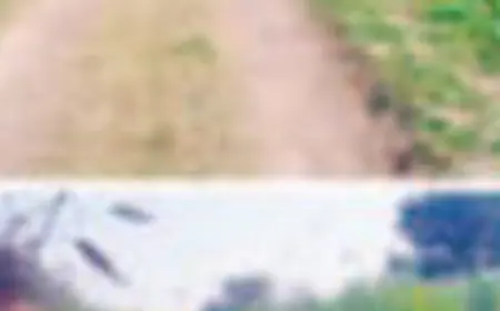 सरकारी योजनाओं को प्रधान व सचिव लगा रहे पलीता मनरेगा हो रहा लाखों का घोटाला