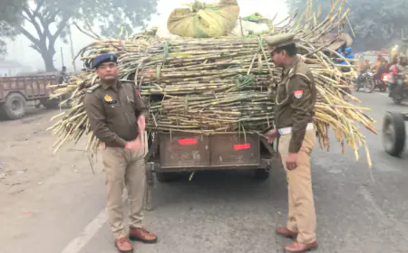 सड़क दुर्घटनाओं को रोकने के लिए ट्रैक्टर ट्रालियां पर यातायात प्रभारी उ0नि0 लक्ष्मण सिंह द्वारा रिफलेक्टर लगाने का कार्य किया गया।