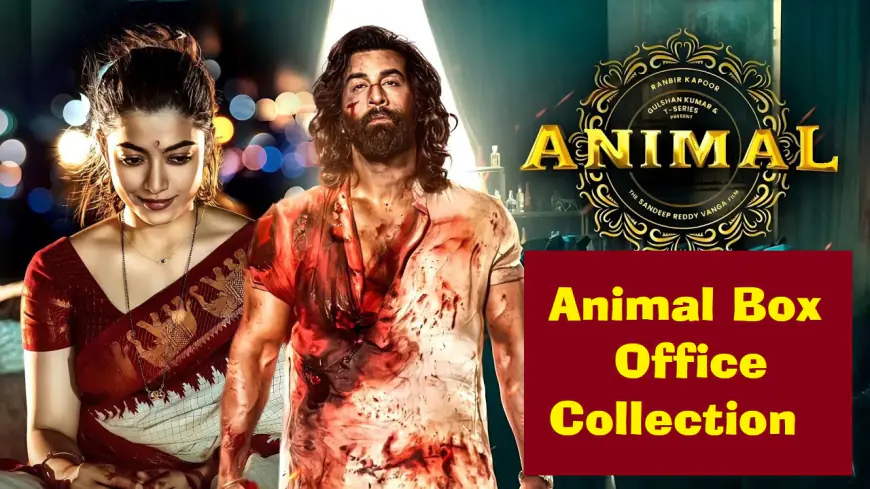 Animal Box Office Collection Day 16:आज यह फिल्म कितने करोड़ कमा सकती है!