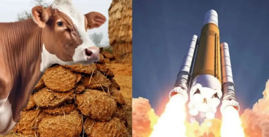 Cow Dung as Rocket Fuel: जापान ने गाय के गोबर से उड़ा दिया रॉकेट, दुनिया मे अचम्भा