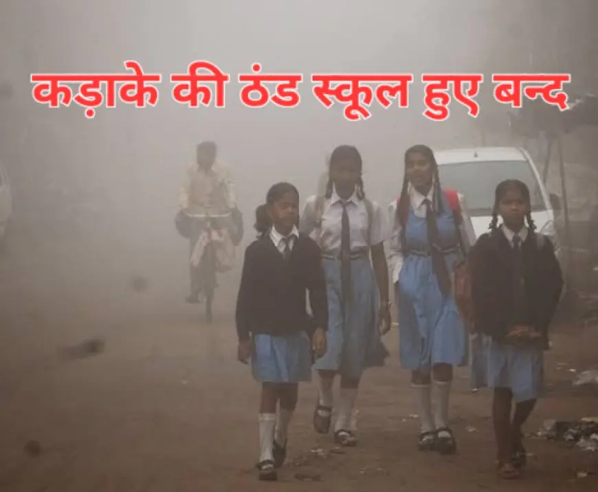 School Winter Vacation 2024: दिल्ली, यूपी, हरियाणा, राजस्थान और अन्य राज्यों में इन तारीखों में रहेंगे स्कूल बंद