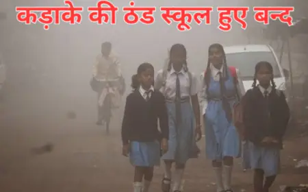 Aaj ka mausam : हाड़ कंपाने वाली ठंड के बीच  बारिश के आसार, 5वीं तक सभी स्कूलों में 12 तक छुट्टी