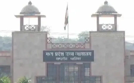 HC On Wife Refusal Of Sex: पत्नी द्वारा पति के साथ यौन संबंध बनाने से इनकार करना क्रूरता - हाईकोर्ट