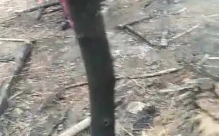 अलाव की आग से झोपड़ी में लगी आग, बकरियां जली बालक को बचाया