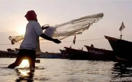 मछली पकड़ने समुद्र में गए 12 भारतीय मछुआरे श्रीलंका ने किए गिरफ्तार