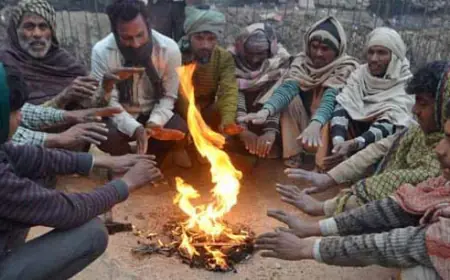 चौथे दिन ठण्ड ने बरपाया कहर,कोहरे के साथ शीतलहर का डबल अटैक