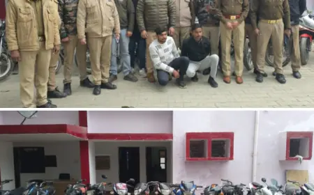 अलीगंज पुलिस द्वारा 2 अंतर्जनपदीय वाहन चोर 15 मोटरसाइकिल 1 अवैध तमंचा कारतूस सहित गिरफ्तार